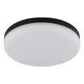 Globo - LED Stropné svietidlo LED/12W/230V 4000K pr. 22 cm čierna