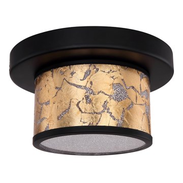 Globo - LED Stropné svietidlo LED/12W/230V