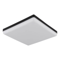 Globo - LED Stropné svietidlo LED/18W/230V 4000K 30x30 cm čierna