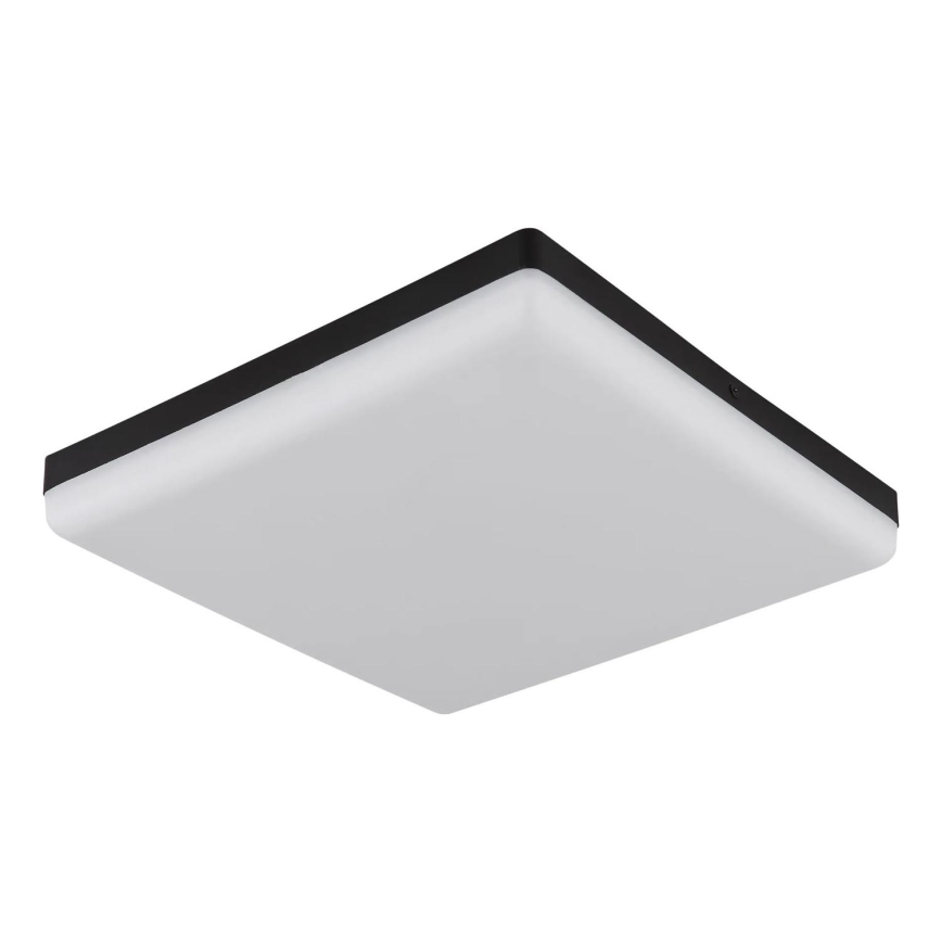 Globo - LED Stropné svietidlo LED/18W/230V 4000K 30x30 cm čierna