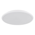 Globo - LED Stropné svietidlo LED/18W/230V 4000K pr. 35 cm biela