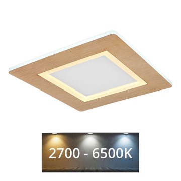 Globo - LED Stropné svietidlo LED/23W/230V 2700/6500K