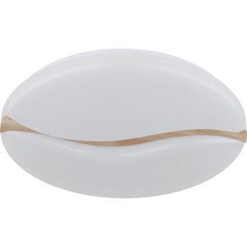 Globo - LED Stropné svietidlo LED/24W/230V 3000/4200/6000K pr. 33 cm
