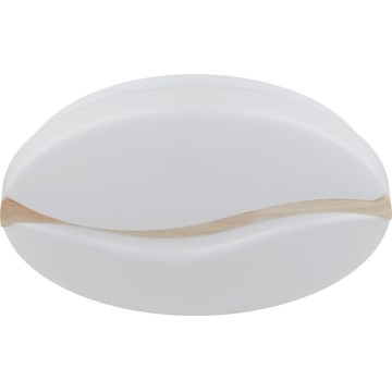 Globo - LED Stropné svietidlo LED/24W/230V 3000/4200/6000K pr. 39 cm