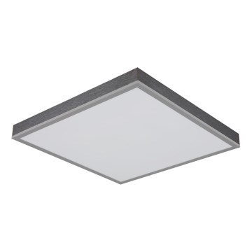 Globo - LED Stropné svietidlo LED/24W/230V 3000K 45x45 cm