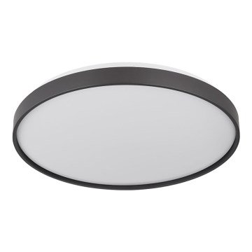 Globo - LED Stropné svietidlo LED/24W/230V