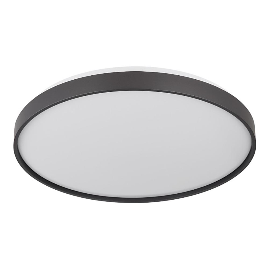 Globo - LED Stropné svietidlo LED/24W/230V
