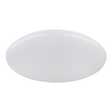Globo - LED Stropné svietidlo LED/24W/230V pr. 49,5 cm biela