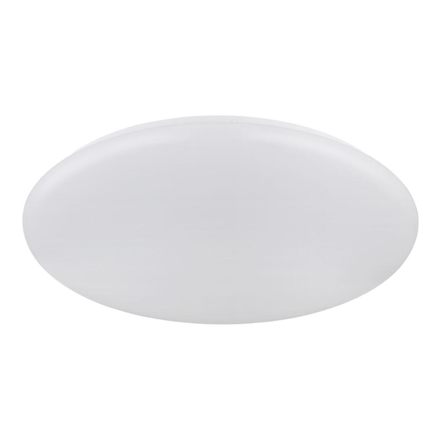 Globo - LED Stropné svietidlo LED/24W/230V pr. 49,5 cm biela