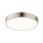 Globo - LED Stropné svietidlo LED/28W/230V