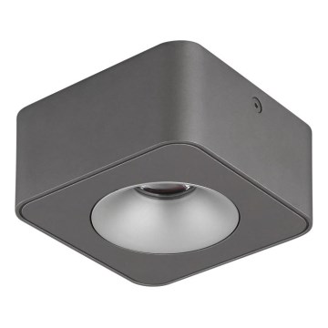 Globo - LED Stropné svietidlo LED/6,5W/230V 11,7x11,7 cm