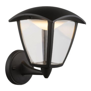 Globo - LED Vonkajšie nástenné svietidlo LED/7W/230V IP54