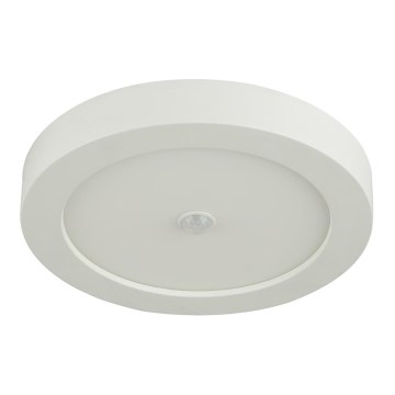 Globo - LED vonkajšie stropné svietidlo so senzorom LED/18W/230V IP44