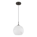 Globo - Luster na lanku 1xE27/60W/230V pr. 25 cm