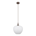 Globo - Luster na lanku 1xE27/60W/230V pr. 29 cm biela/hnedá
