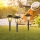 Globo - SADA 3x LED Solárna lampa 3xLED/1,2V IP44 200 mAh
