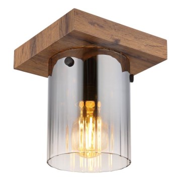 Globo - Stropné svietidlo 1xE27/40W/230V