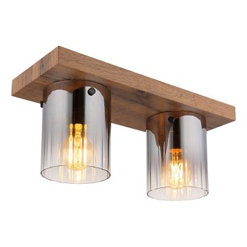 Globo - Stropné svietidlo 2xE27/40W/230V