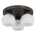 Globo - Stropné svietidlo 3xE27/60W/230V pr. 31,5 cm