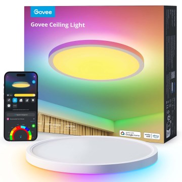 Govee - LED RGBICWW stmievateľné stropné svietidlo LED, 29 W, 230 V, priemer 30 cm, matné, Wi‑Fi
