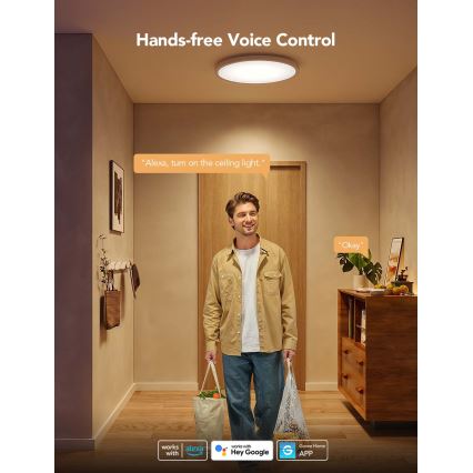 Govee - LED RGBICWW stmievateľné stropné svietidlo LED, 29 W, 230 V, priemer 30 cm, matné, Wi‑Fi