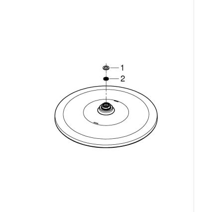 GROHE 26562000 - Sprchová hlavica RAINSHOWER MONO 310 mm lesklý chróm