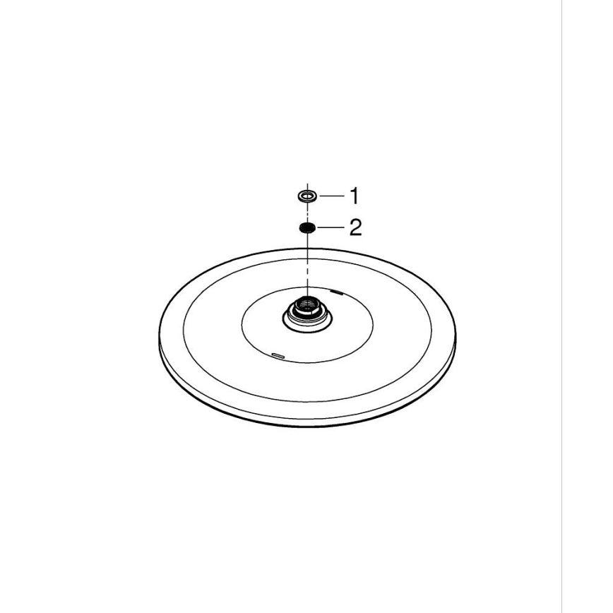 GROHE 26562000 - Sprchová hlavica RAINSHOWER MONO 310 mm lesklý chróm
