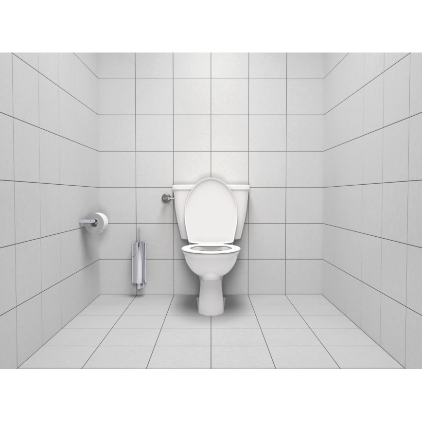 GROHE 40374001 - Sada na čistenie WC ESSENTIALS 12,1 x 39,8 cm chróm