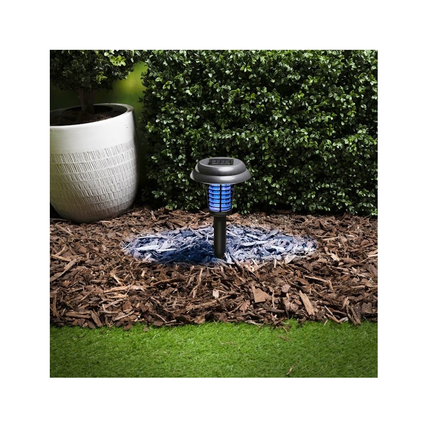 Grundig - LED solárna lampa a pasca na hmyz UV LED/1xAA 600 mAh IPX4