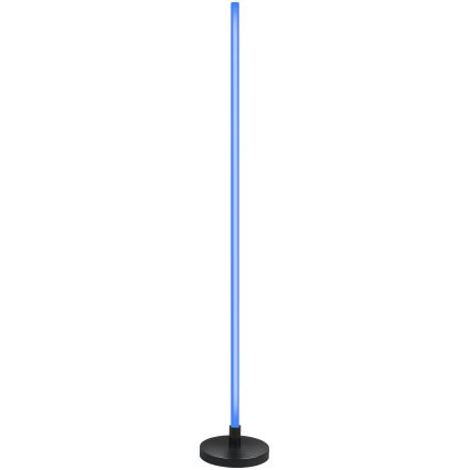 Grundig - LED RGB Stmievateľná stojacia lampa LED/5W/5V + diaľkové ovládanie