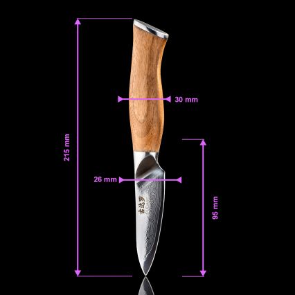 Gudaro - Damaskový kuchynský nôž TAKUMI 3,5, 67 vrstiev ocele, dĺžka 9,5 cm, orech