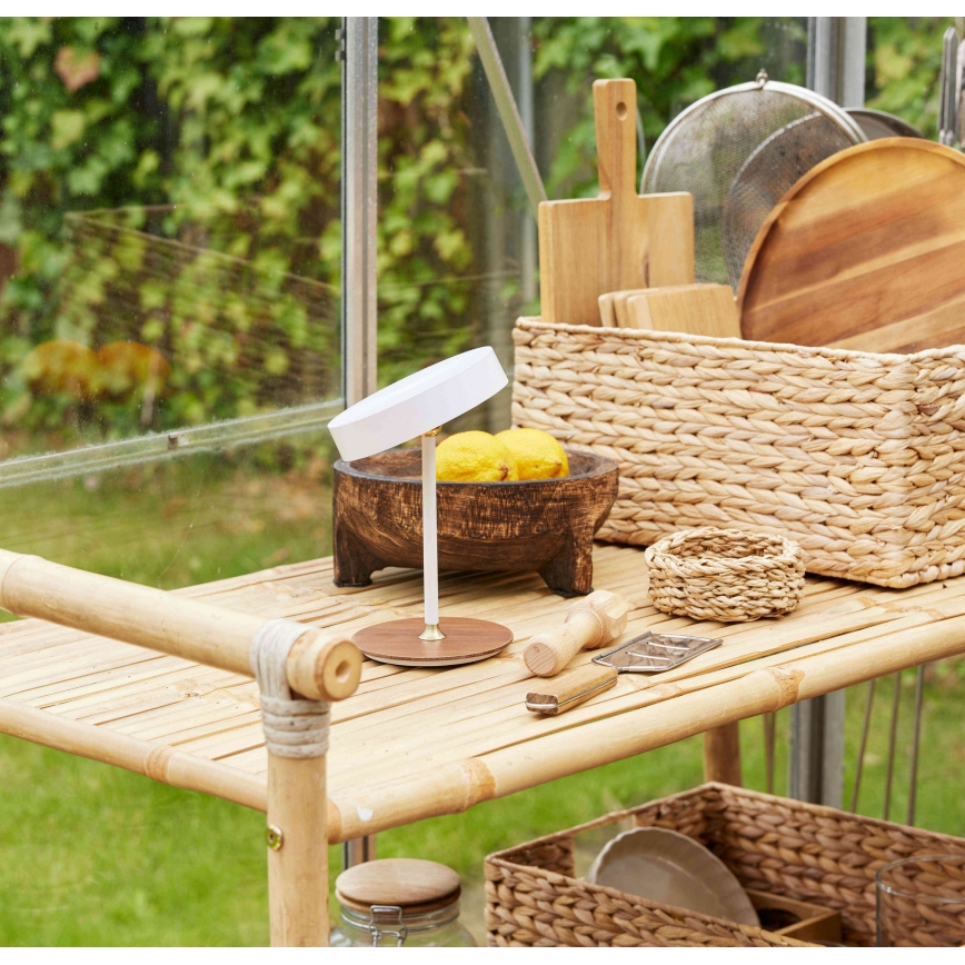 Halo Design 745760 - LED Stmievateľná nabíjateľná stolná lampa ON THE MOVE LED/2,5W/4000 mAh biela/drevo