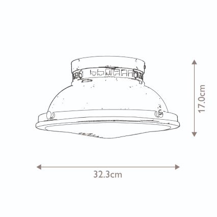 Hinkley - Stropné svietidlo AMELIA 2xE27/40W/230V čierna/mosadz