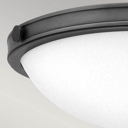 Hinkley - Stropné svietidlo COLLIER 2xE27/40W/230V pr. 34,6 cm čierna