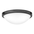 Hinkley - Stropné svietidlo COLLIER 2xE27/40W/230V pr. 34,6 cm čierna