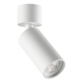 Ideal Lux - LED bodové svietidlo DYNAMITE 1xGU10/7W/230V CRI 90 biele