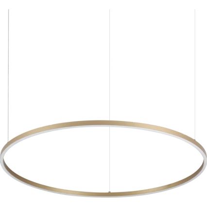 Ideal Lux - LED závesný luster na lanku ORACLE SLIM LED/53W/230V 3000K CRI 90, priemer 90 cm, zlatý