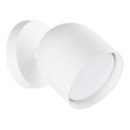 Ideal Lux - LED Nástenné bodové svietidlo DODO 1xGX53/9W/230V biela