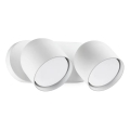 Ideal Lux - LED Nástenné bodové svietidlo DODO 2xGX53/9W/230V biela