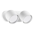 Ideal Lux - LED Nástenné bodové svietidlo DODO 2xGX53/9W/230V biela