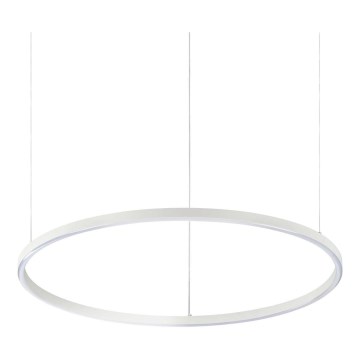 Ideal Lux - LED závesný luster na lane ORACLE SLIM LED/37W/230V 3000K CRI 90 priemer 70 cm biela