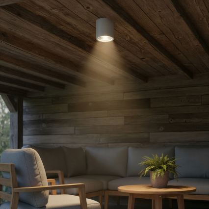 Ideal Lux - Vonkajšie bodové svietidlo GUN 1xGU10/28W/230V pr. 11 cm IP55 šedá
