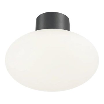 Ideal Lux - Vonkajšie stropné svietidlo CLIO 1xE27/42W/230V IP44 antracit