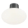 Ideal Lux - Vonkajšie stropné svietidlo CLIO 1xE27/42W/230V IP44 antracit