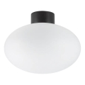 Ideal Lux - Vonkajšie stropné svietidlo CLIO 1xE27/42W/230V IP44 čierna