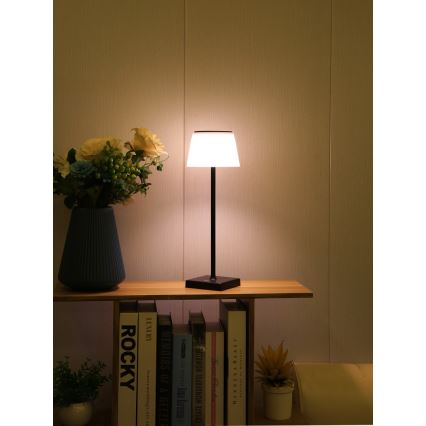 Immax 08492L - LED Stmievateľná vonkajšia solárna lampa LED/4W/5V IP44