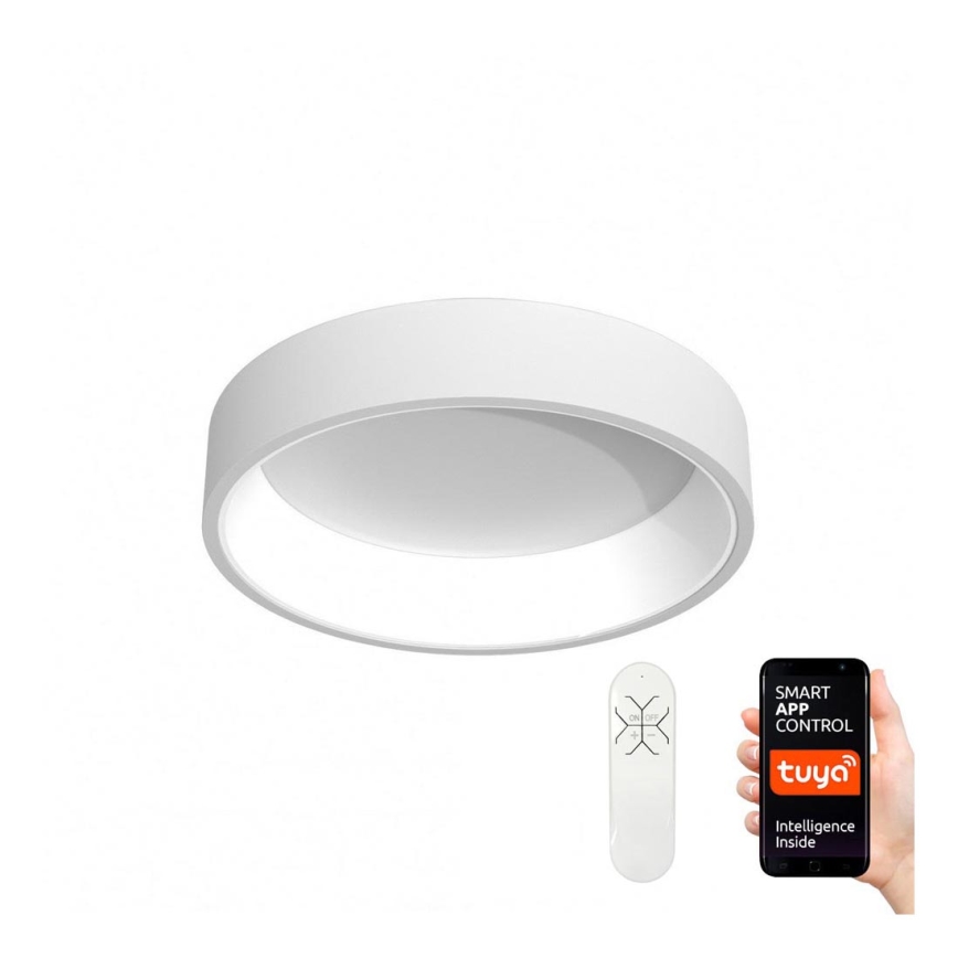 Immax NEO 07016L - LED Stmievateľné stropné svietidlo AGUJERO LED/30W/230V  Tuya + diaľkové ovládanie