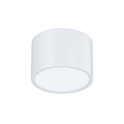 Immax Neo 07024L-15BD - Sada 2x LED Stmievateľné stropné svietidlo RONDATE biela 2xLED/12W/230V + diaľkové ovládanie Tuya