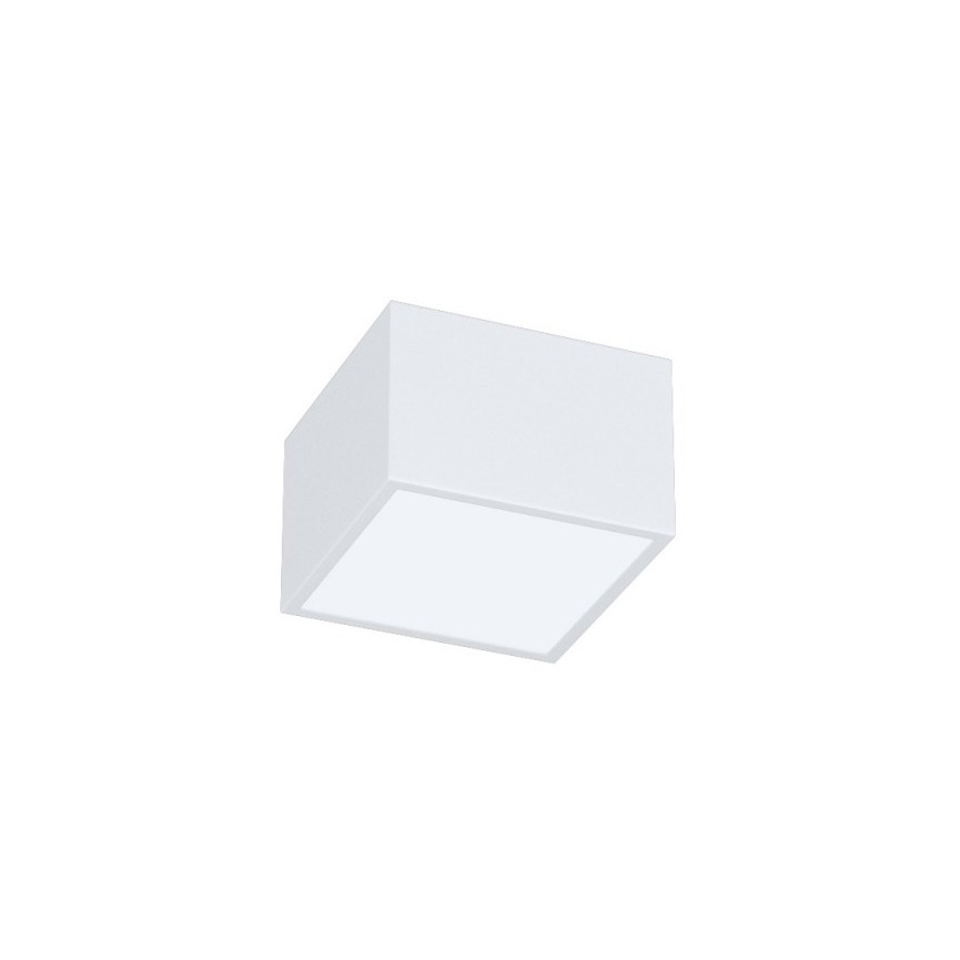 Immax Neo 07072L-15BD - Sada 2x LED Stmievateľné stropné svietidlo CANTO 2xLED/12W/230V + diaľkové ovládanie Tuya