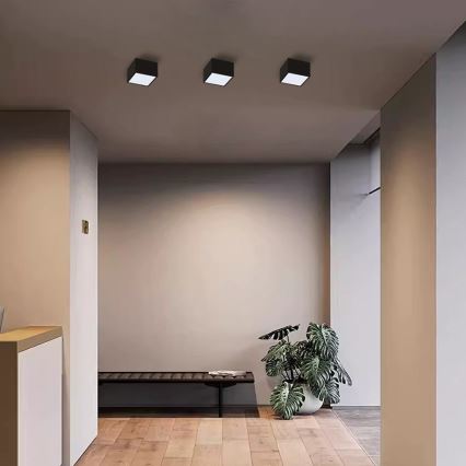 Immax Neo 07074L-15BD - Sada 2x LED Stmievateľné stropné svietidlo CANTO 2xLED/12W/230V + diaľkové ovládanie Tuya